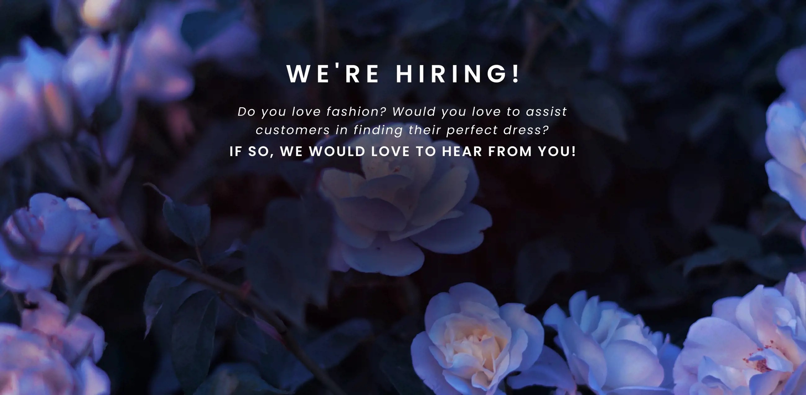 "We're Hiring" banner for desktop
