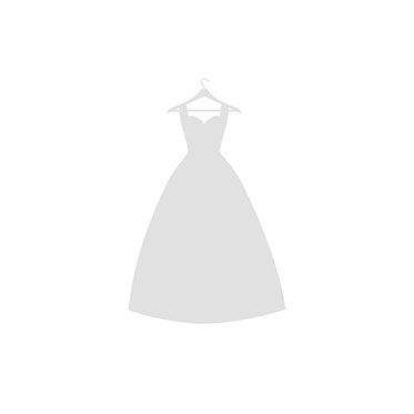 Gown Preservation Style #Aisle Ready Steaming Default Thumbnail Image